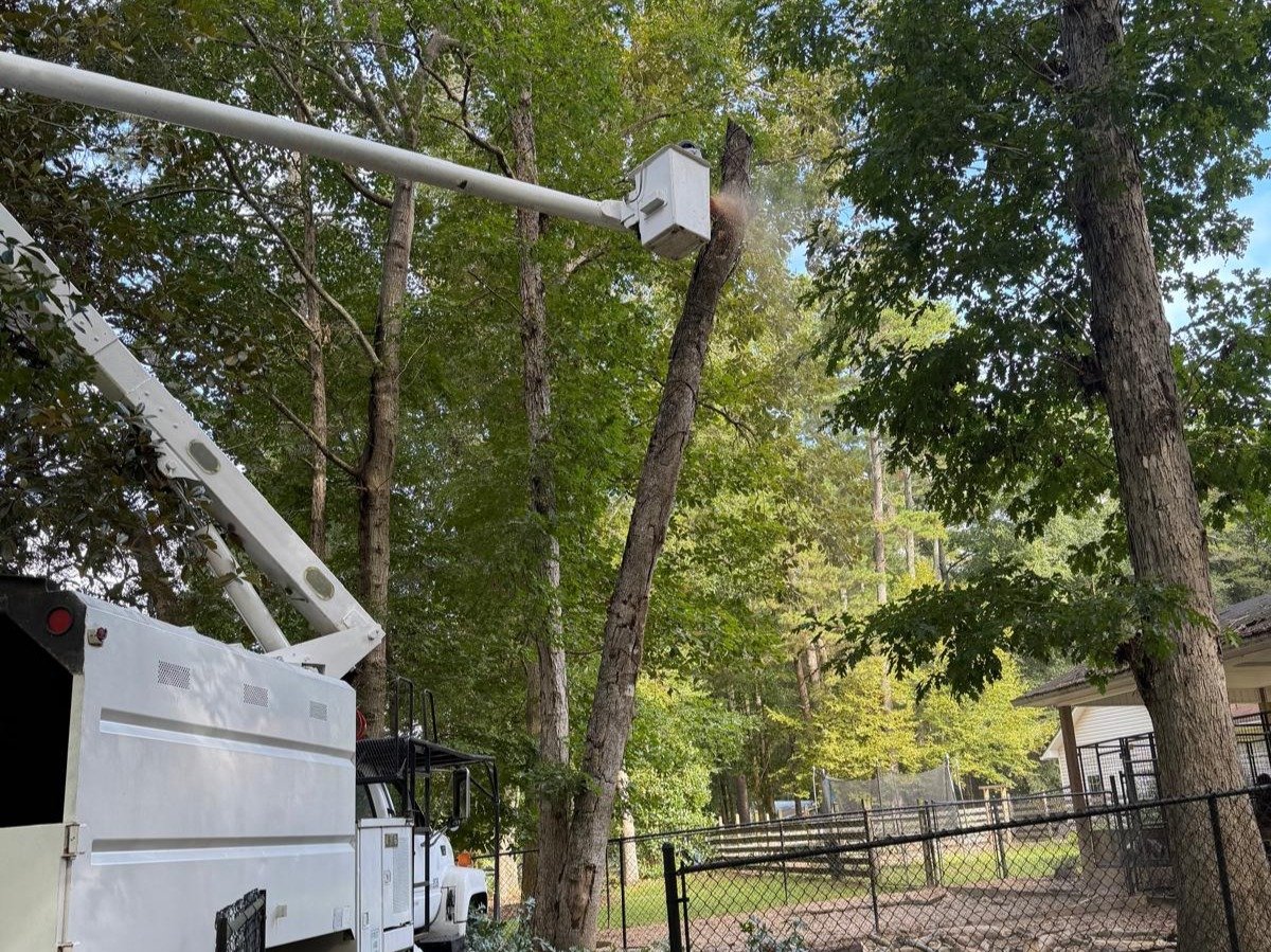 El Costeño Tree Service LLC